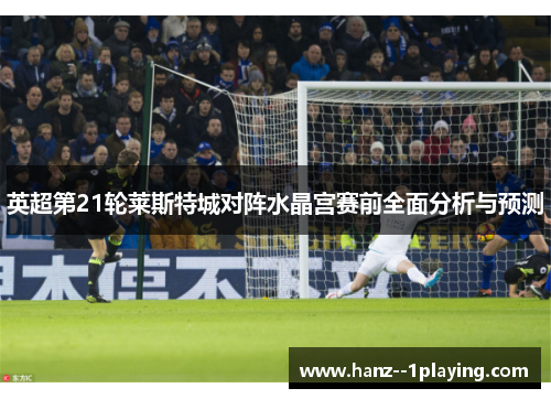 英超第21轮莱斯特城对阵水晶宫赛前全面分析与预测 英超第21轮莱斯特城对阵水晶宫赛前全面分析与预测