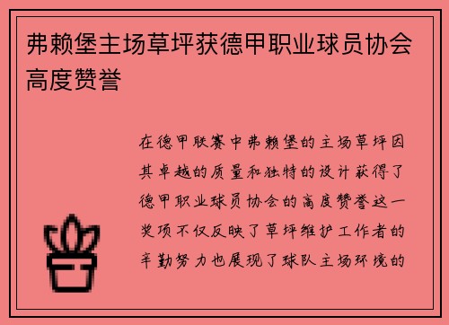 弗赖堡主场草坪获德甲职业球员协会高度赞誉