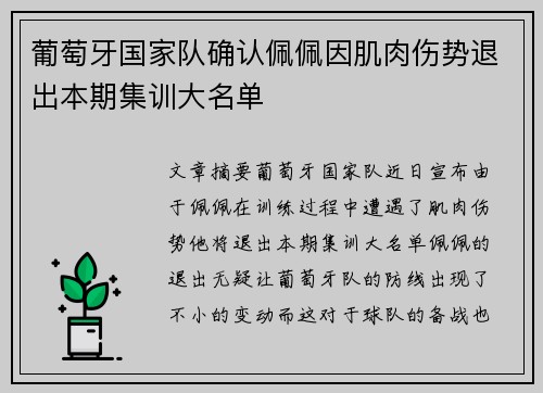 葡萄牙国家队确认佩佩因肌肉伤势退出本期集训大名单 葡萄牙国家队确认佩佩因肌肉伤势退出本期集训大名单